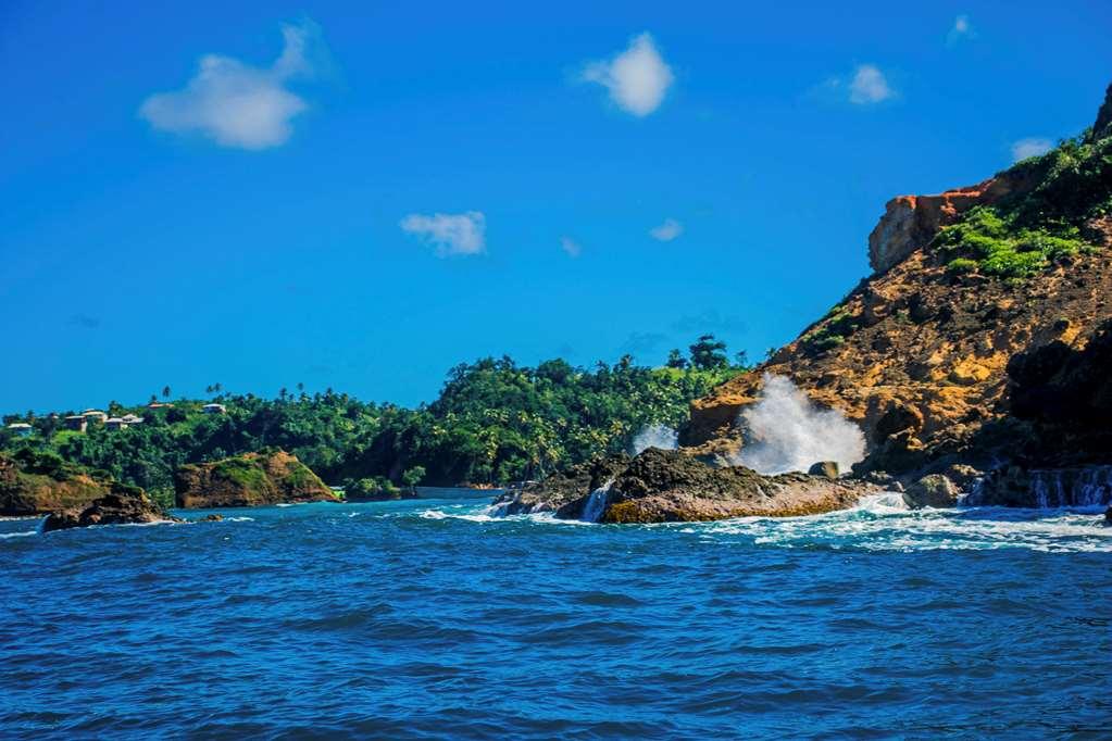 Atlantique View Resort And Spa, Ascend Hotel Collection Saint Andrew Amenities photo